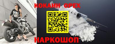 спайс Тара