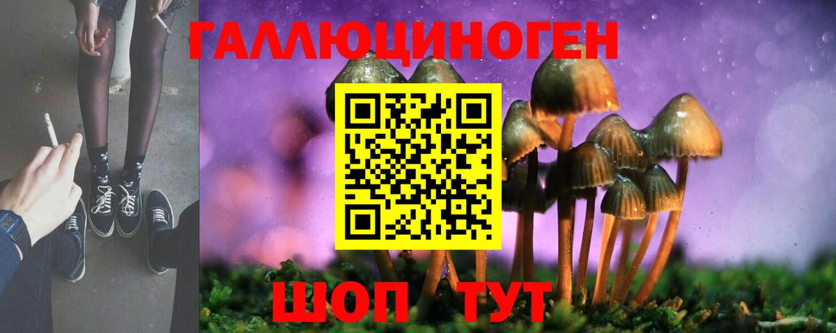 Галлюциногенные грибы Magic Shrooms  Вход с VPN  Псилоцибиновые грибы Psilocybe  Нижневартовск 